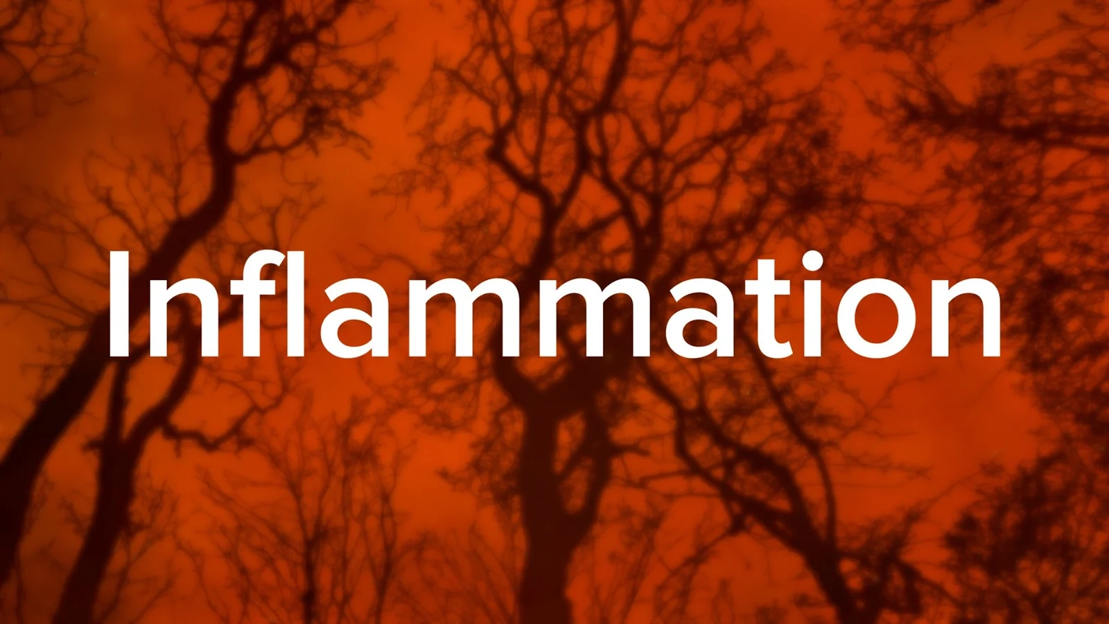 Acute And Chronic Inflammation!
