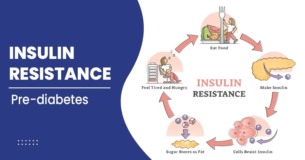 Insulin Resistance And Diabetes!