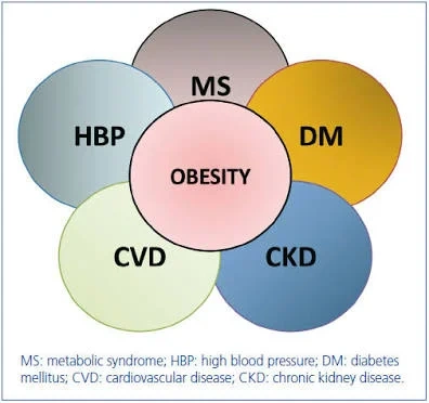 The Dangers Of Obesity!