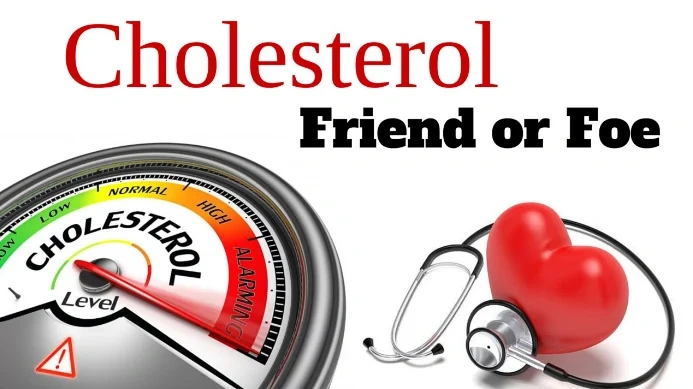 What You Must Know About Cholesterol!